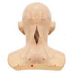 Halloween Empty Biochemical Vampire Zombie Mask